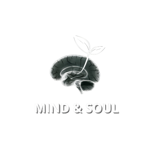 mindandsoulllc.com